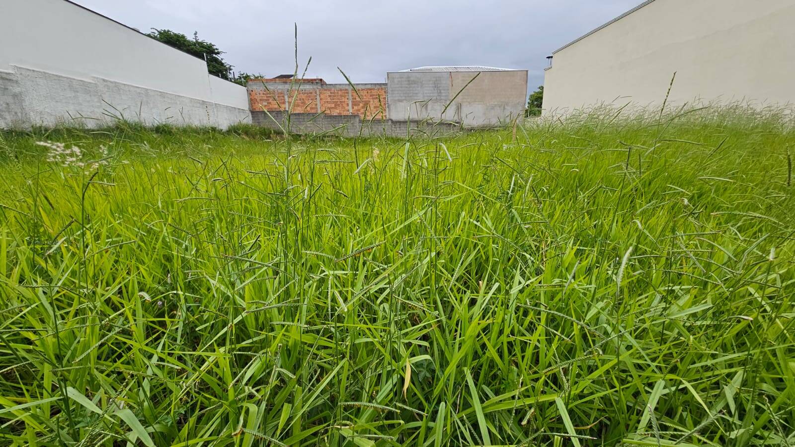 #466 - Área para Venda em Jacareí - SP