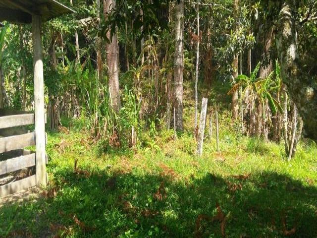 #61 - Área para Venda em Paraibuna - SP - 1