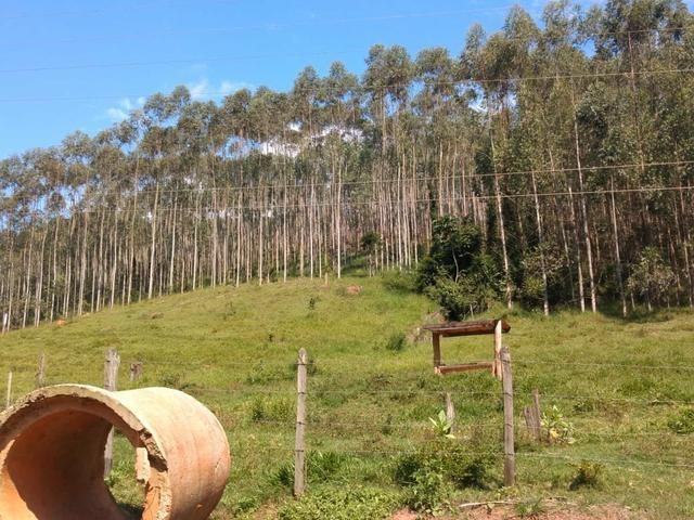 Área para Venda em Jambeiro - 4