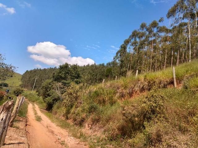 Área para Venda em Jambeiro - 5