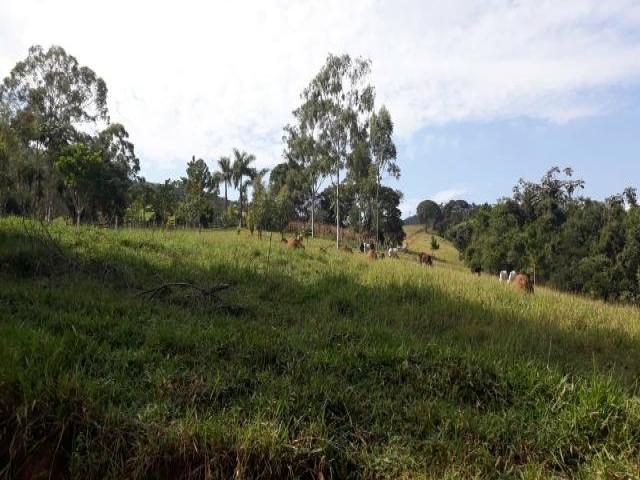 Área para Venda em Paraibuna - 4