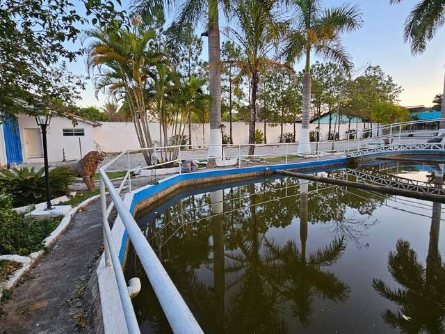 Sala para Locação em São José dos Campos - 5